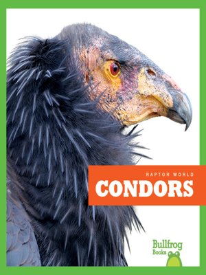 cover image of Condors